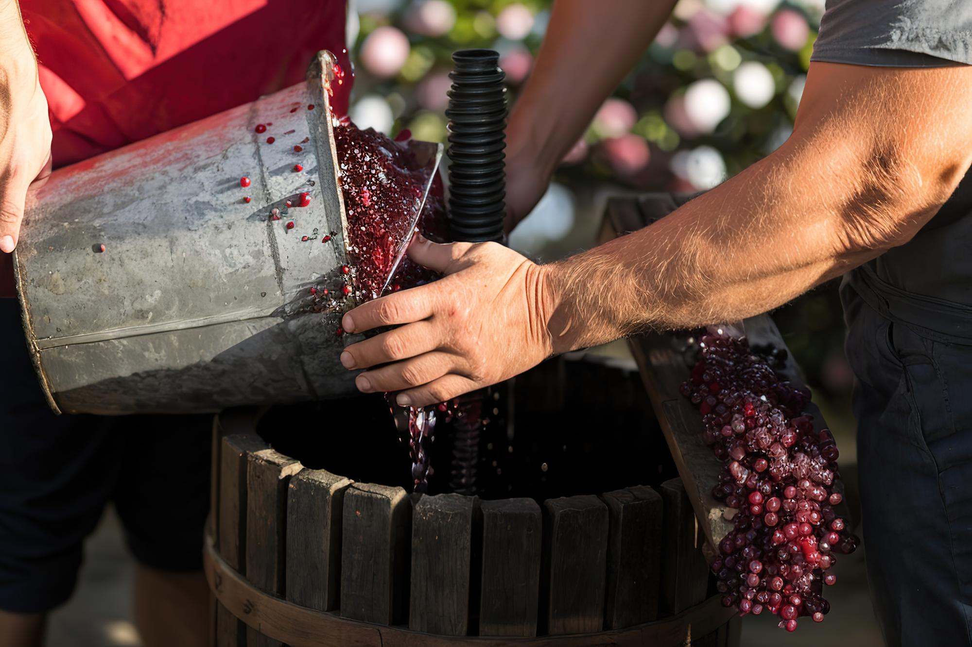 Traditional old technique of wine making